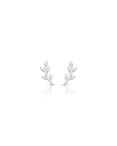 SKU 26981