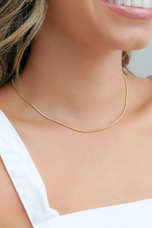 Choker Rabo de Rato Banhado a Ouro 18K