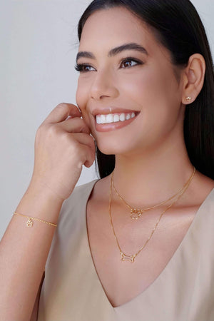 Brinco Pata Pet Cravejado Cristal 6 mm Banhado a Ouro 18K