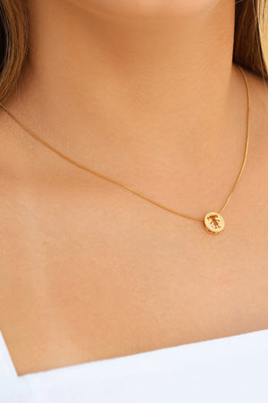 Gargantilha Filho Menina Ponto de Luz Cristal Banhado a Ouro 18K - 45 cm