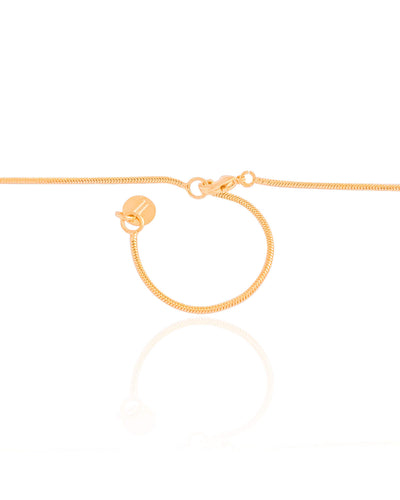 Gargantilha Rabo de Rato Pingente Orgânico Texturizado Banhado a Ouro 18K - 45 cm