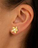 Brinco Flor Ponto de Luz Cristal 1.2 cm Banhado a Ouro 18K