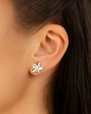 Brinco Flor Ponto de Luz Cristal 1.2 cm Ródio Branco