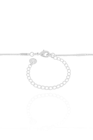 Choker Grumet Plaquinhas Achatadas 2 mm Ródio Branco