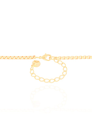 Gargantilha Ferradura Cavalo Cravejado Cristal Banhado a Ouro 18K - 45 cm