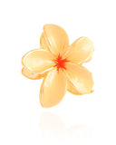 Presilha Flor Bege Com Laranja Branho Dourado