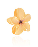 Presilha Flor Bege Com Lilás Banho Dourado