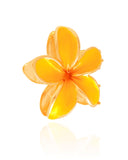 Presilha Flor Amarela Banho Dourado