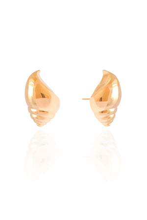 Brinco Concha Lisa 2.4 cm Banhado a Ouro 18K