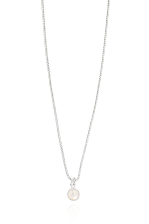 Gargantilha Veneziana Pérola 5 mm Ródio Branco - 40 cm