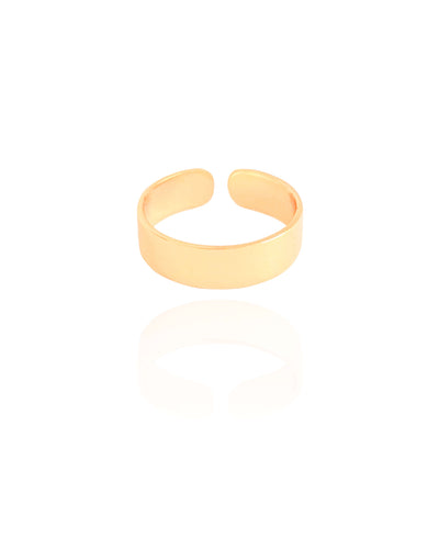 Anel Liso Flat 5 mm Tamanho 16 Banhado a Ouro 18K