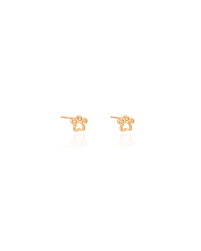 Brinco Pata Pet Cravejado Cristal 6 mm Banhado a Ouro 18K