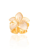 Presilha para Cabelo Flor Esmaltada Detalhes Dourado