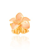 Presilha para Cabelo Flor Esmaltada Detalhes Dourado