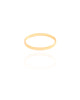 Anel Flat Liso Tamanho 19 Banhado a Ouro 18K