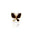 Broche Borboleta Esmaltado Marrom com Detalhes Cravejado Cristal