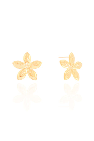 Brinco Flor 2.0 cm Banhado a Ouro 18K