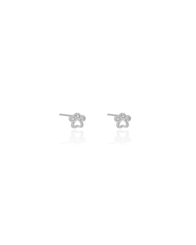 Brinco Pata Pet Cravejado Cristal 6 mm Ródio Branco